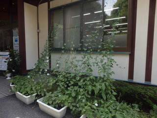 P7312031.JPG